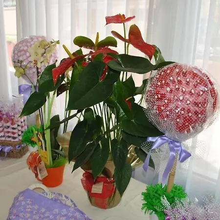 Hotel Felipe Ii Peñíscola